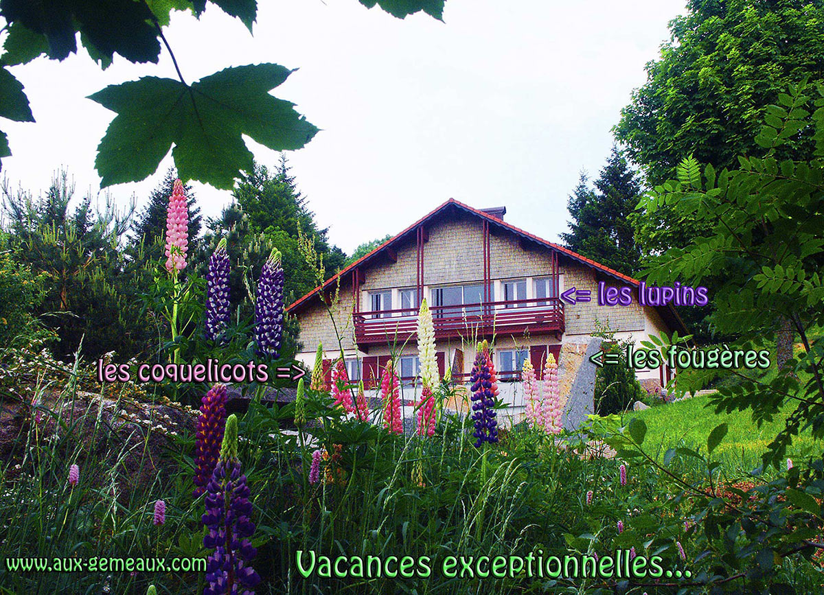 location chalet gerardmer