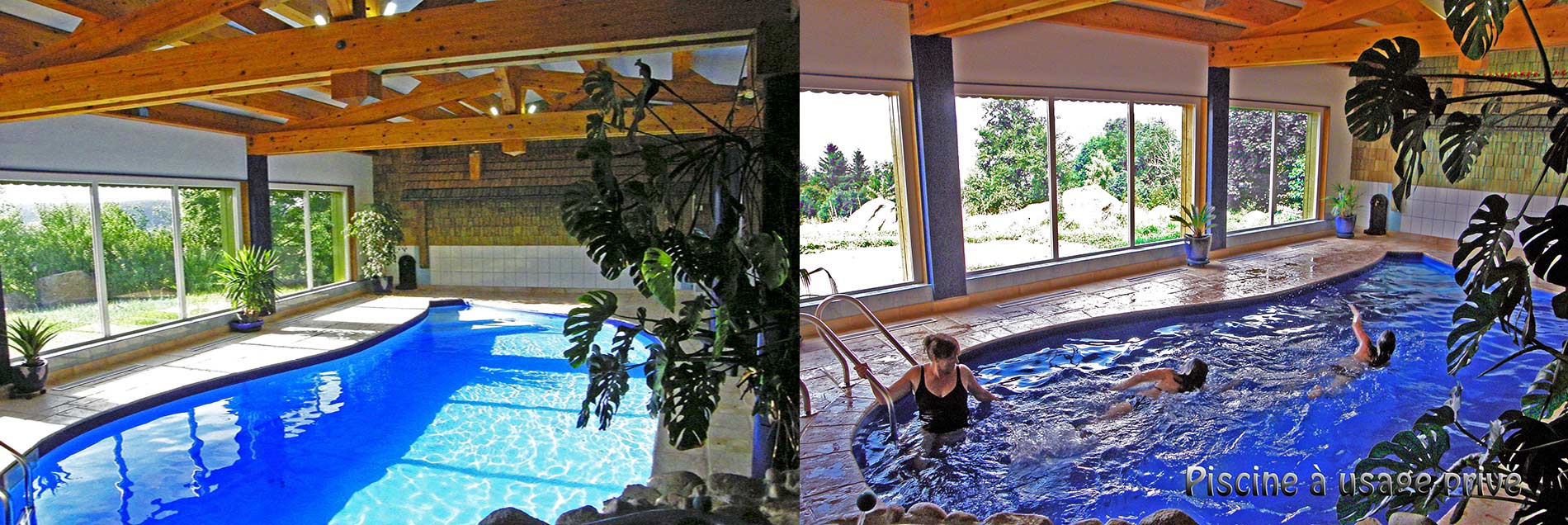 piscine et Spa à usage privé, en eau de source chauffée toute l'année