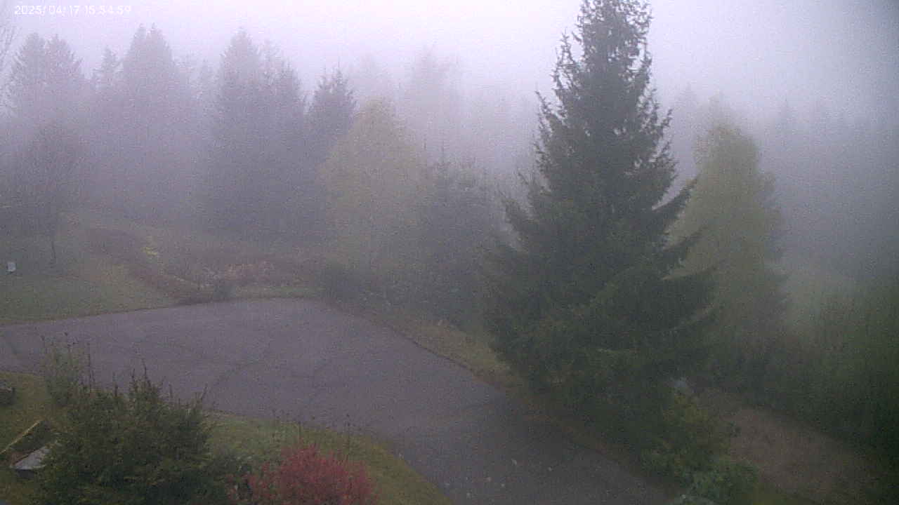 camera1, vue sur la ville de Gerardmer