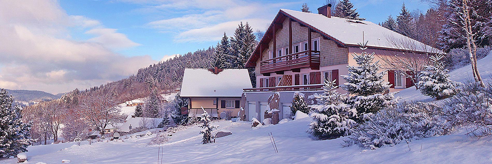 chalets  louer pour vos sports d'hiver